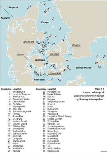 Områder med stenrev i Danmark