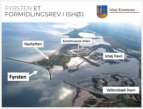Formidlingsrevet Fyrsten