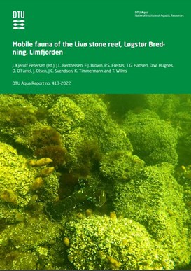 mobile fauna of the Livø stone reef